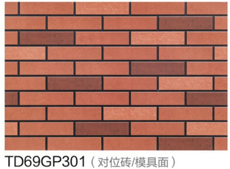 TD69GP301(对位砖_模具面)